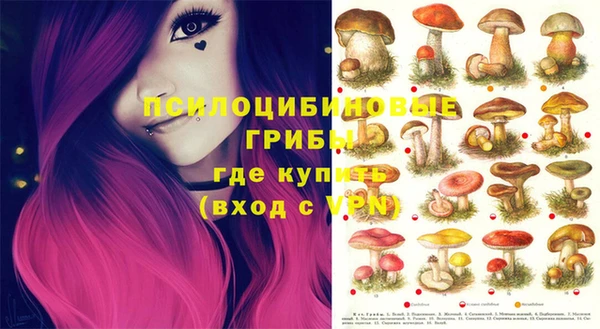 PSILOCYBIN Балабаново
