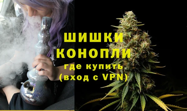 PSILOCYBIN Балабаново